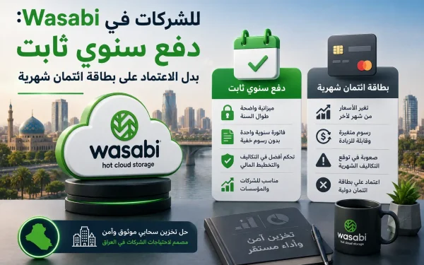 Wasabi للشركات في العراق: دفع سنوي ثابت بدل الاعتماد على بطاقة ائتمان شهرية - مرام هوست