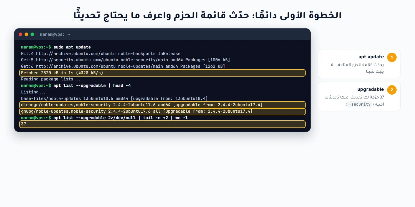 أمر apt update وقائمة الحزم القابلة للتحديث في Ubuntu 24.04